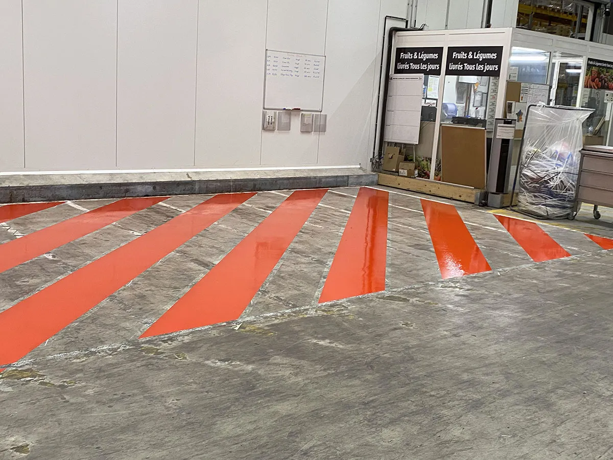 Grand zébra rouge peint sur un sol intérieur